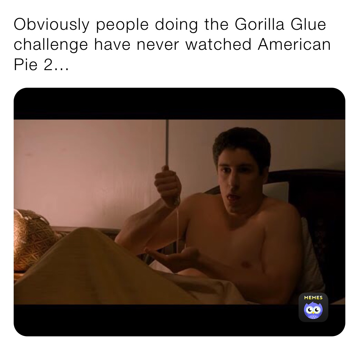 Obviously people doing the Gorilla Glue challenge have never watched American Pie 2...