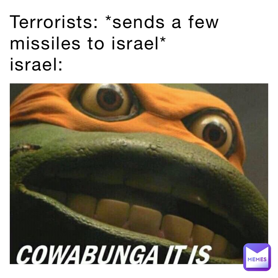 Terrorists: *Sends a few missiles to Israel*
Israel: