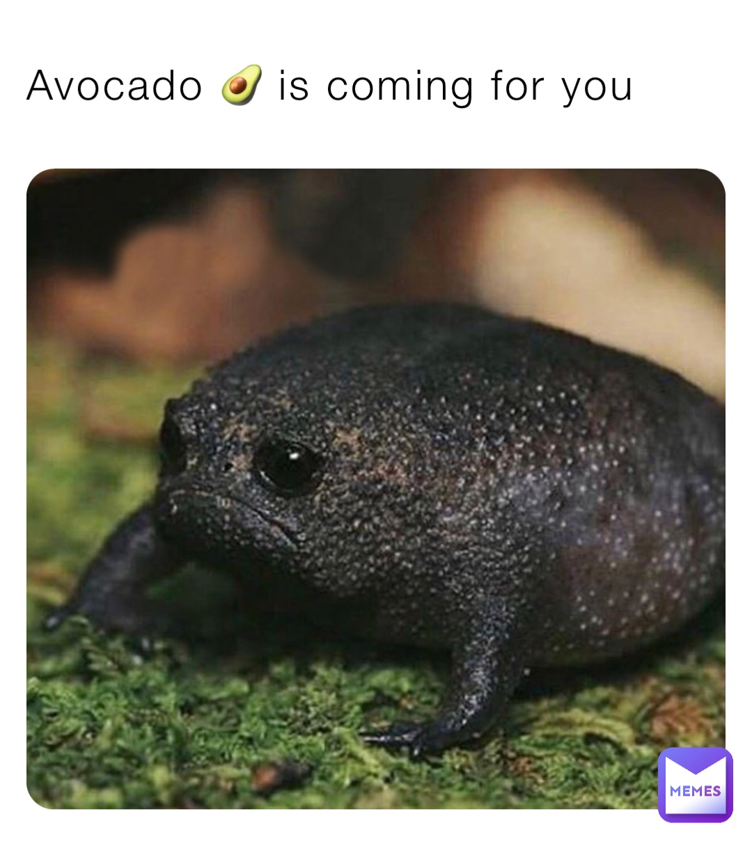 Avocado 🥑 is coming for you