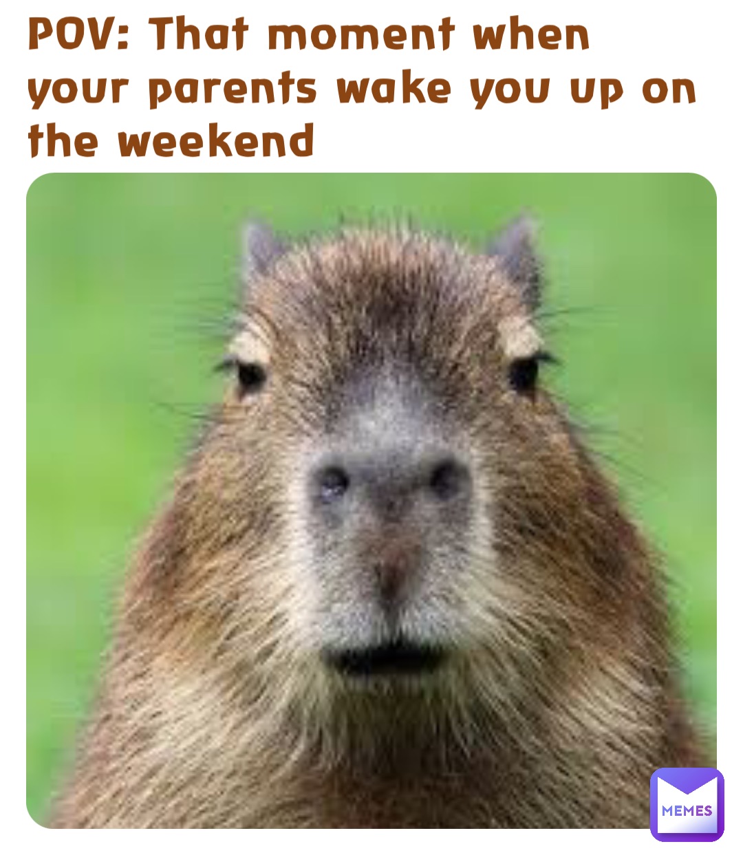 POV: That moment when your parents wake you up on the weekend