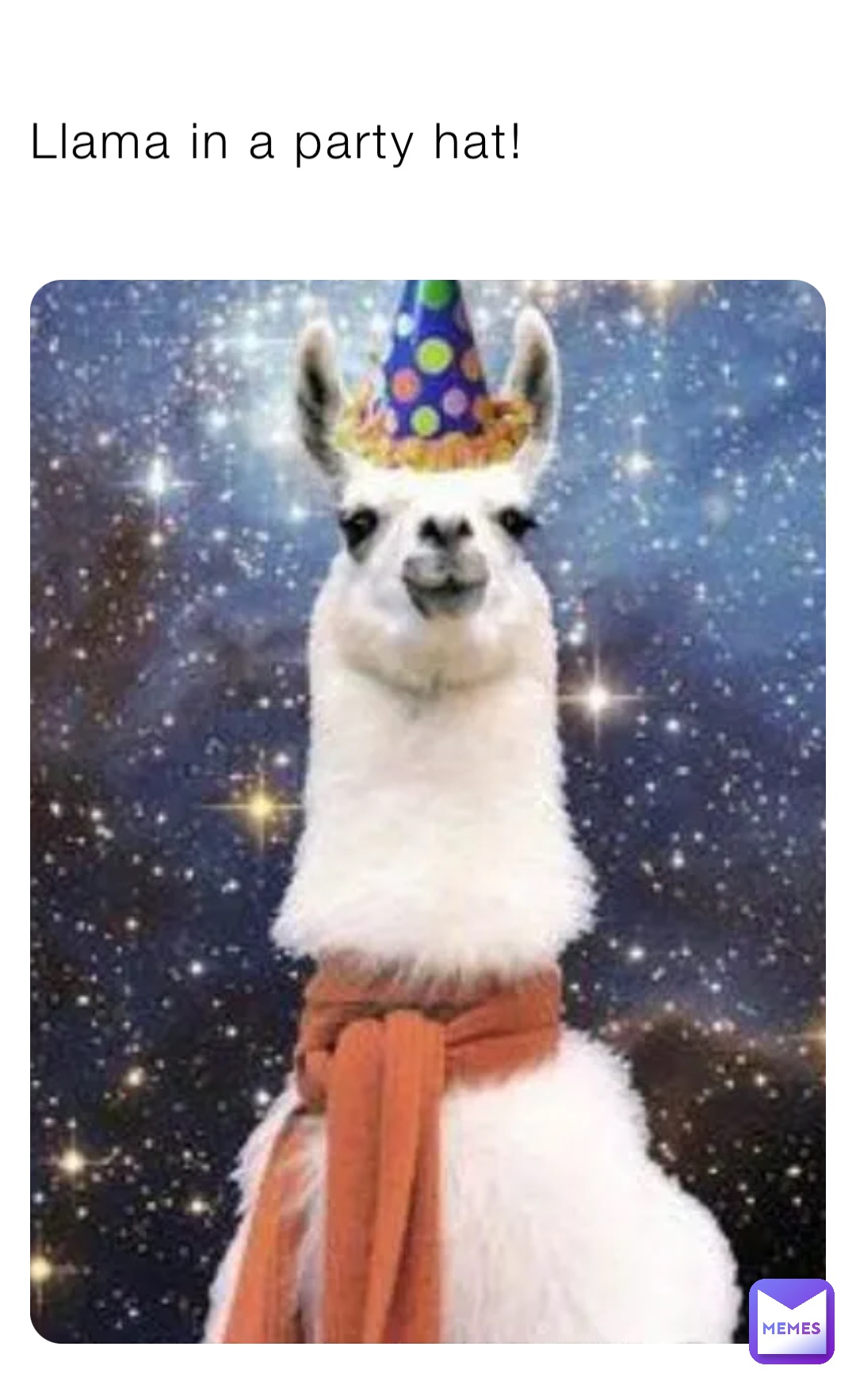 Llama in a party hat!