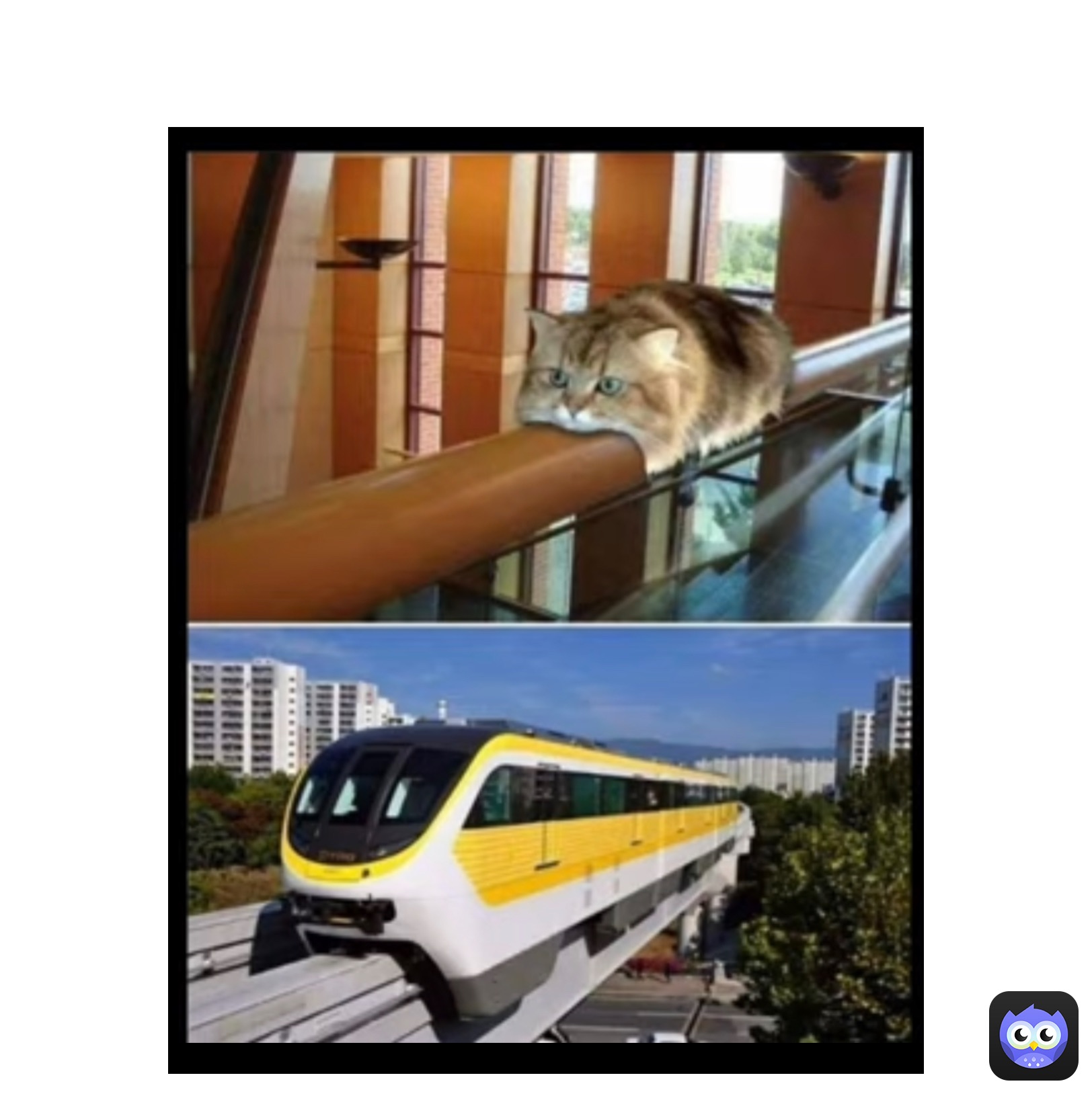 Meme by Mega_knight_14