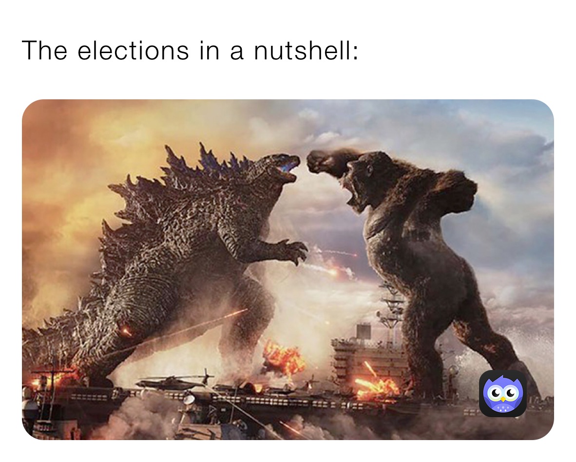 The elections in a nutshell: