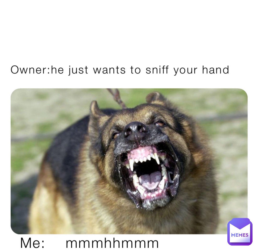 Me:    mmmhhmmm