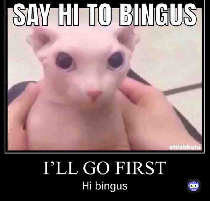 Say hi to Bingus- ​ #DinosaursAreStillAlive ​ #KawaiiPower #Bingus