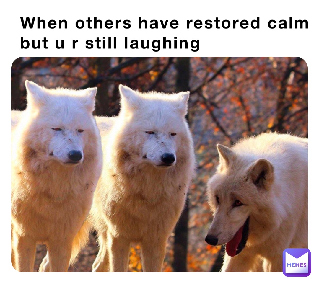 When others have restored calm 
but u r still laughing