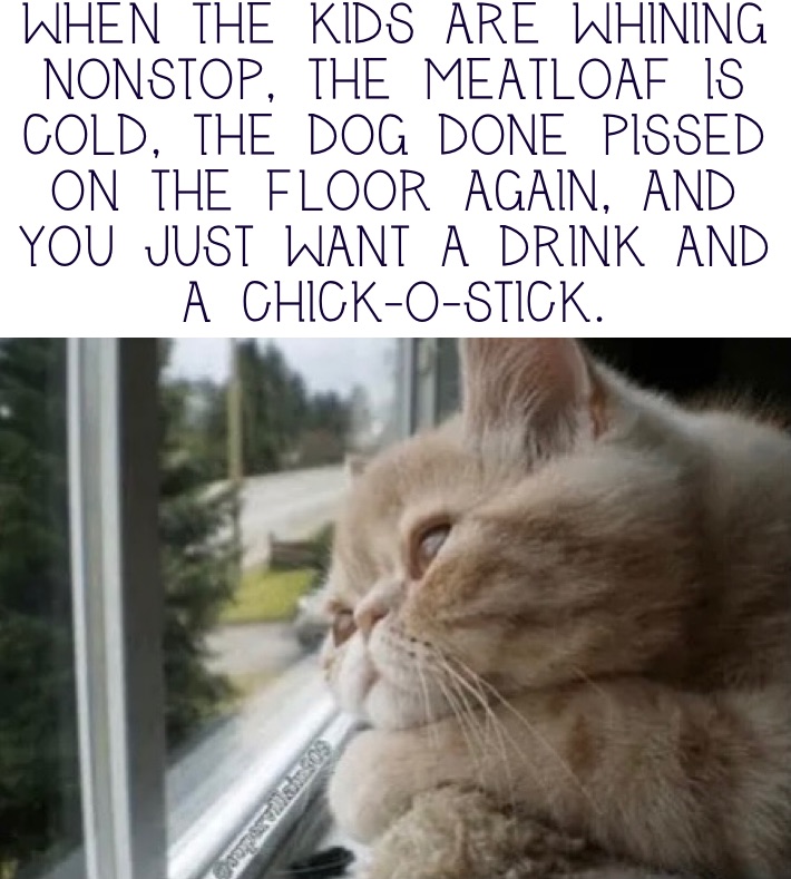 When the kids are whining nonstop, the meatloaf is cold, the dog done pissed on the floor again, and you just want a drink and a Chick-o-Stick.