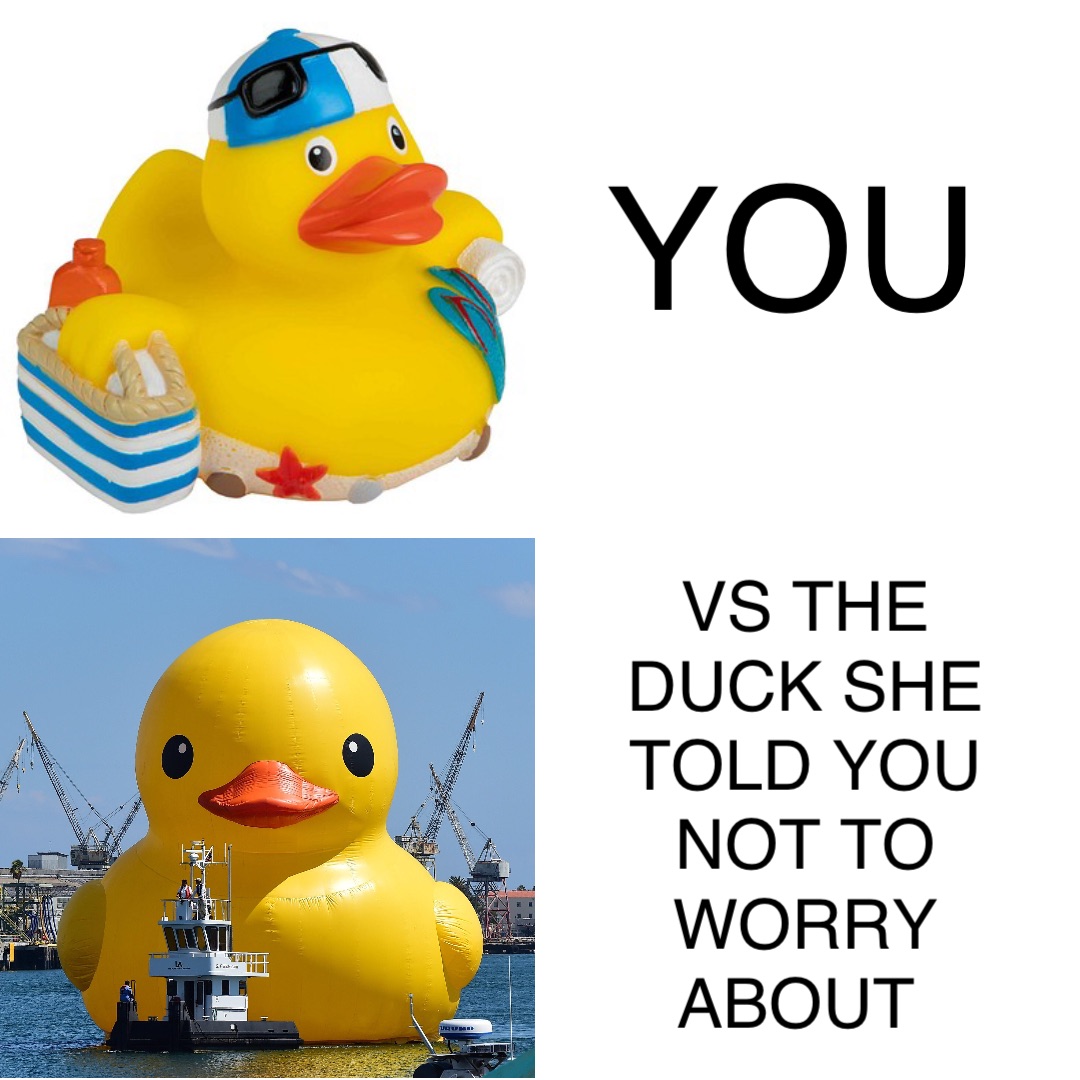 YOU VS THE DUCK SHE TOLD YOU NOT TO WORRY ABOUT