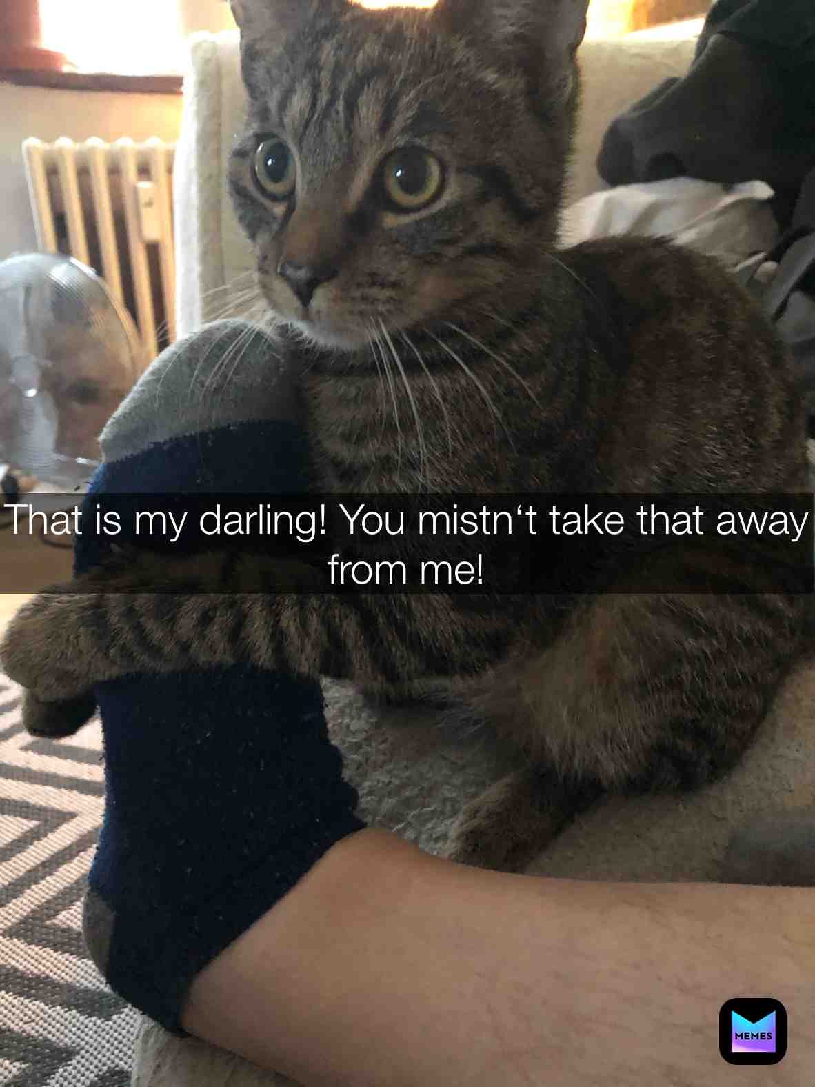 That is my darling!You mustn\u2018t take that away from me! @thorandlilly | #Love | #Me | #??? | #Follow | #And | #Like | #Me | #!!! |
TikTok: thorandlilly
Liebt Ihr Tiere??? Dann kommt doch in unsere Facebook Gruppe: https://www.facebook.com/groups/1860330020770475/?ref=share
Hashtags:
#cat #cats #catstagram #instagood #kitten #kitty #kittens #pet #pets #animal #animals #petstagram #petsagram #photooftheday #catsofinstagram #ilovemycat #instagramcats #nature #catoftheday #lovecats #furry #lovekittens # #
Ps: Thor und Lilly danken euch jetzt schon mal !!! Kiss Love you Thor and Lilly !!!