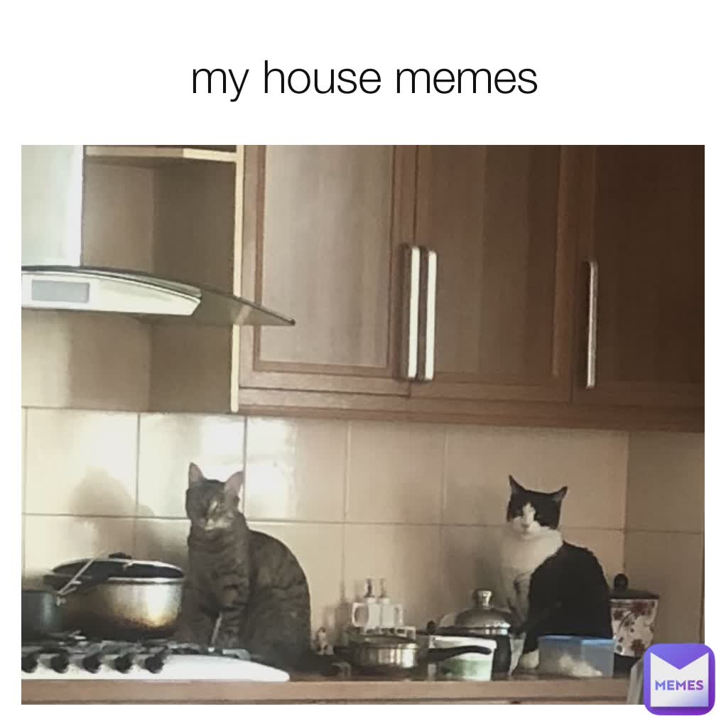 my house memes