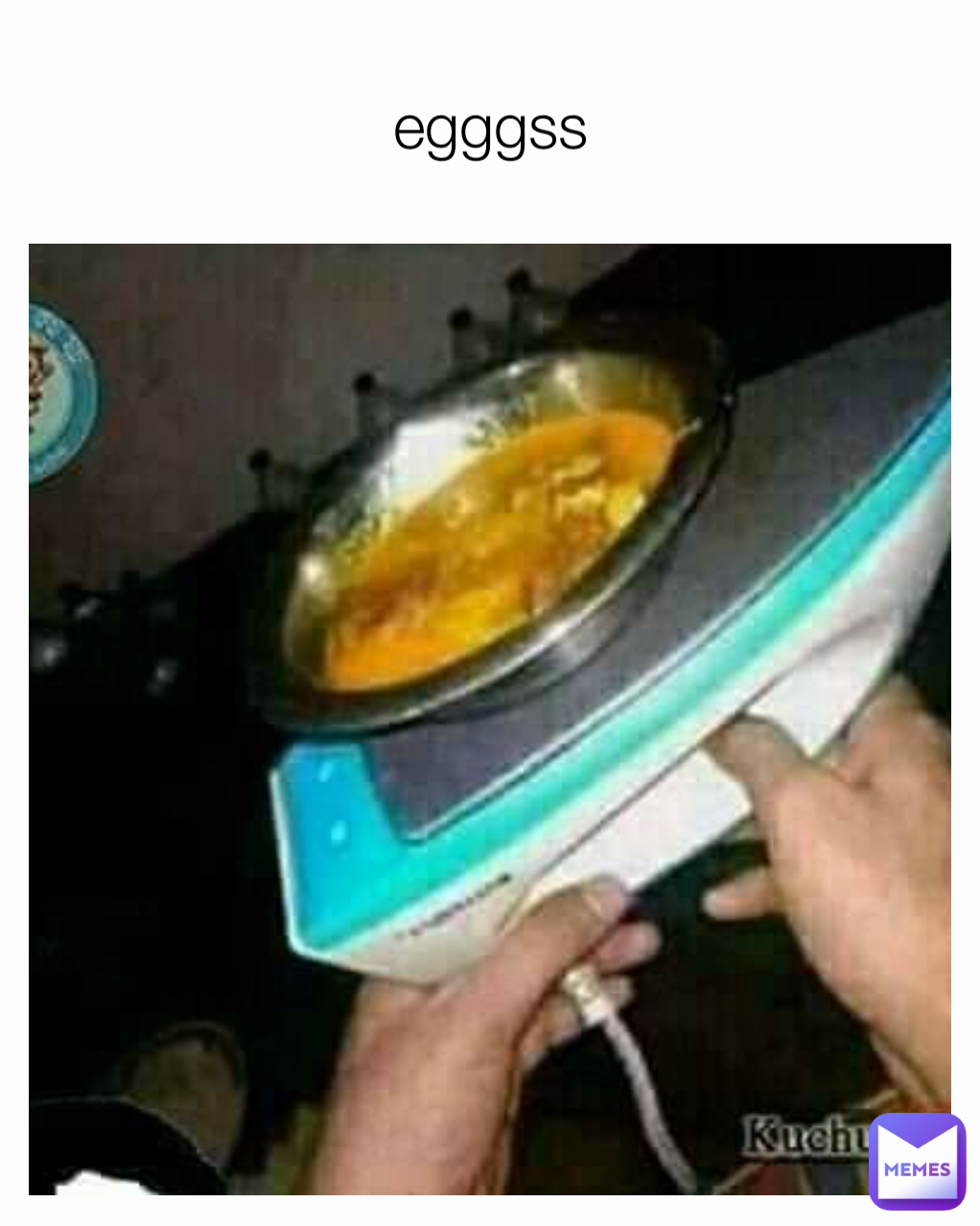 egggss