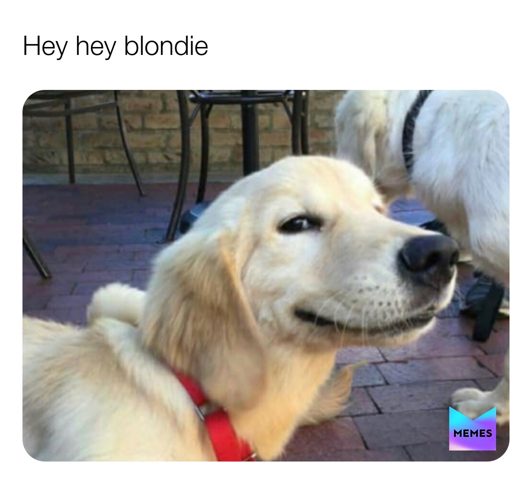 Meme by some_cool_memes