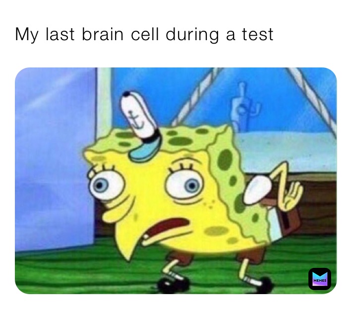My last brain cell during a test