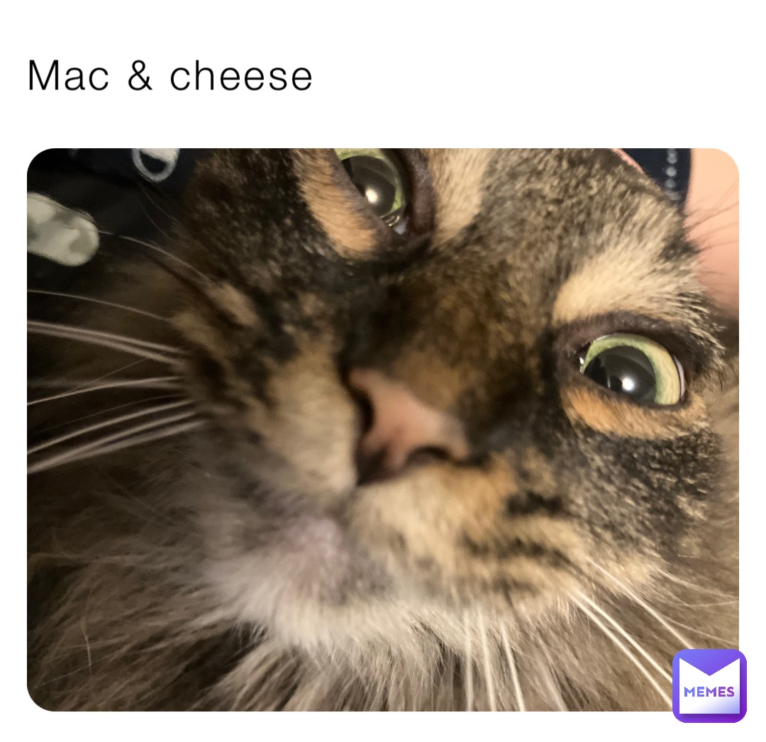 Mac & cheese