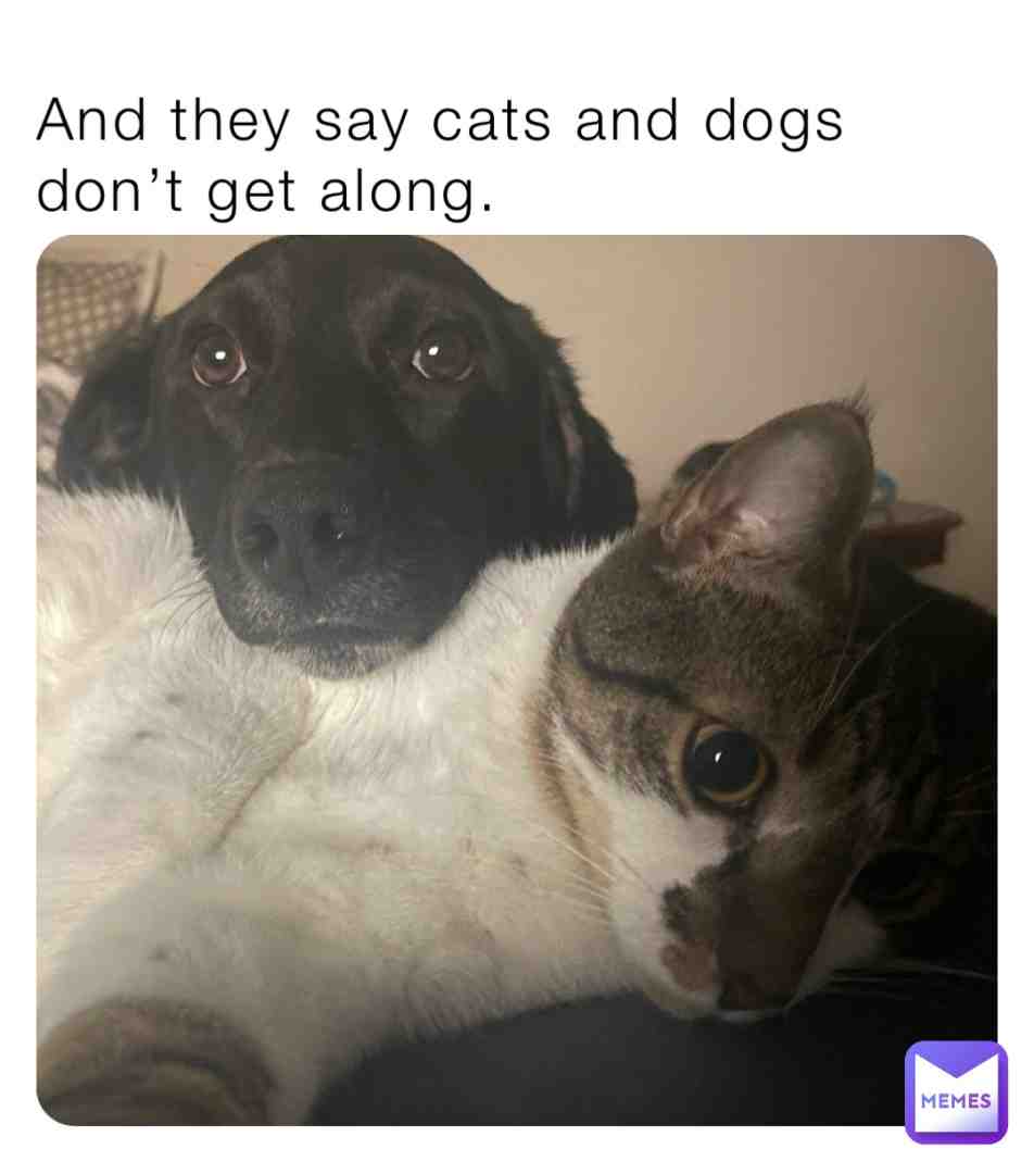 Meme shared by @EllieAckerman