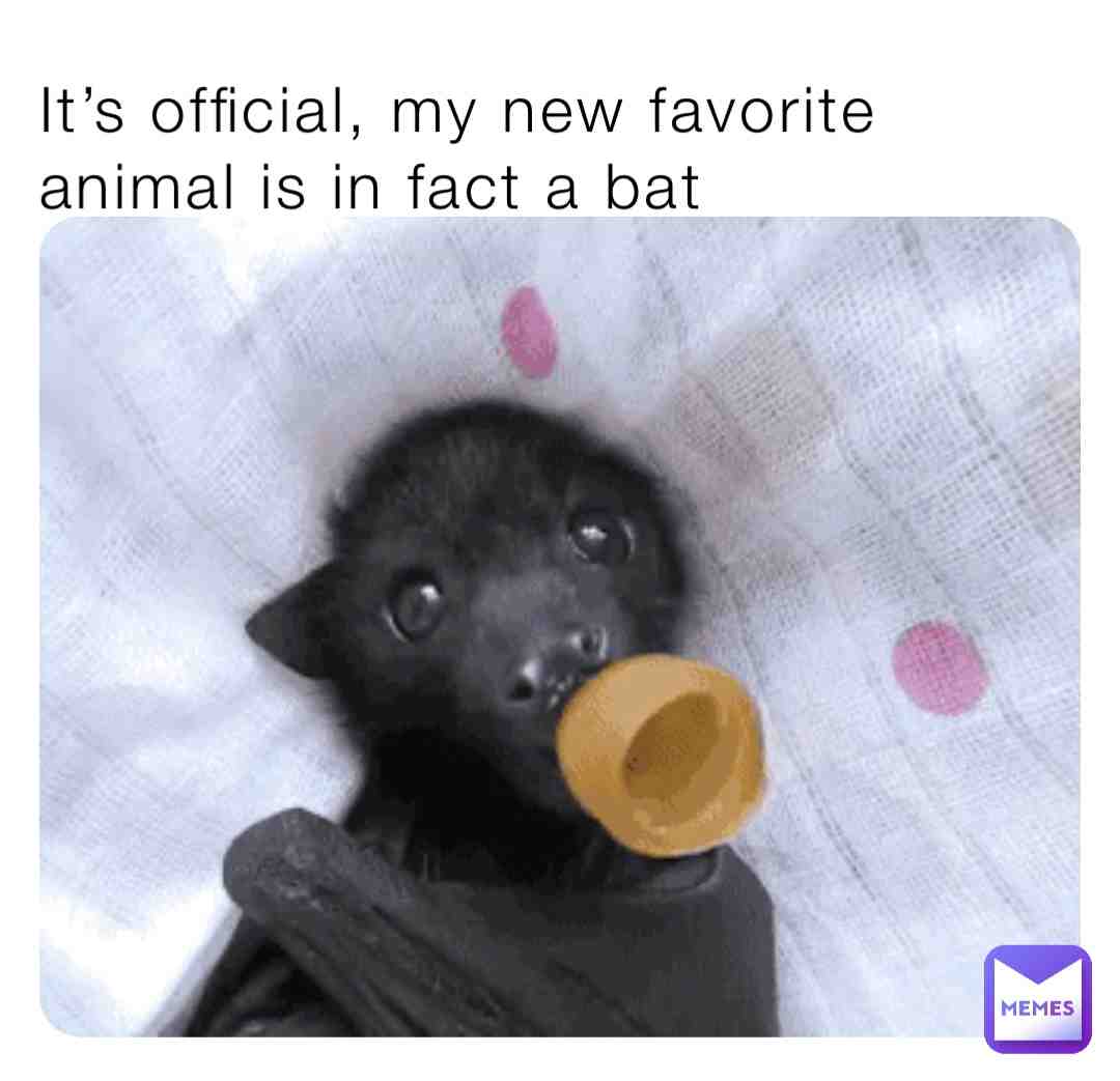 Meme shared by @EllieAckerman
