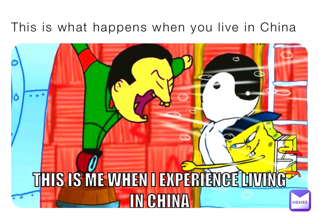 this-is-what-happens-when-you-live-in-china-alijah16-memes