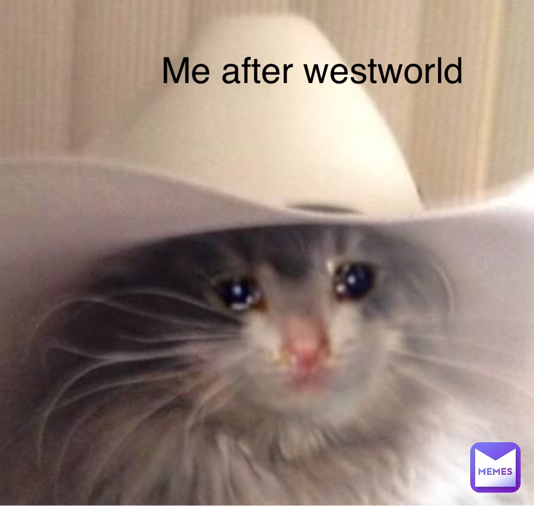 Meme by johanna_schonert