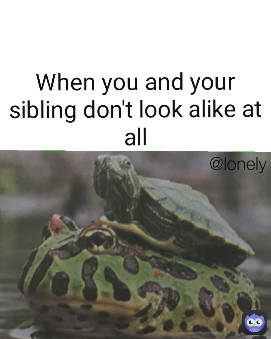 @lonely  When you and your sibling don't look alike at all