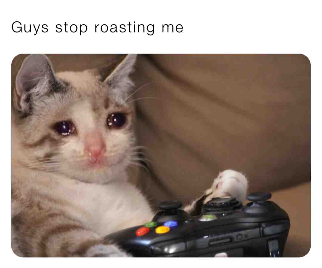 Please stop