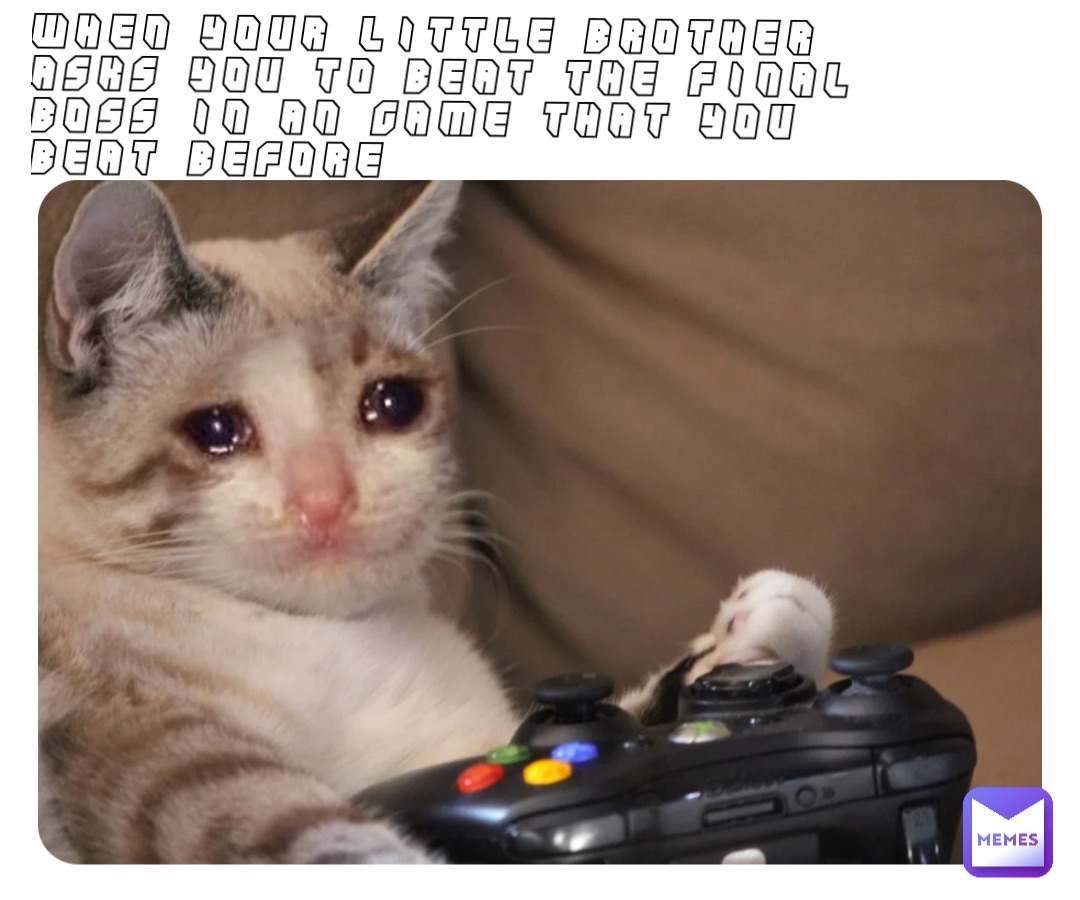 When your little brother asks you to beat the Final boss in an 