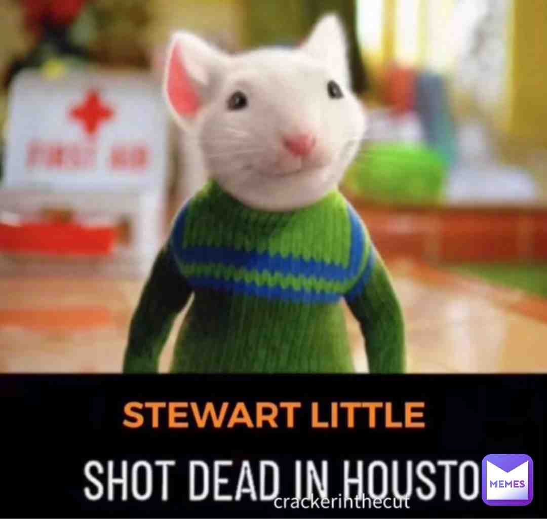 RIP Stewart Little