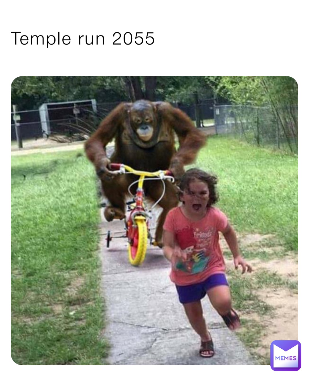 Temple run 2055