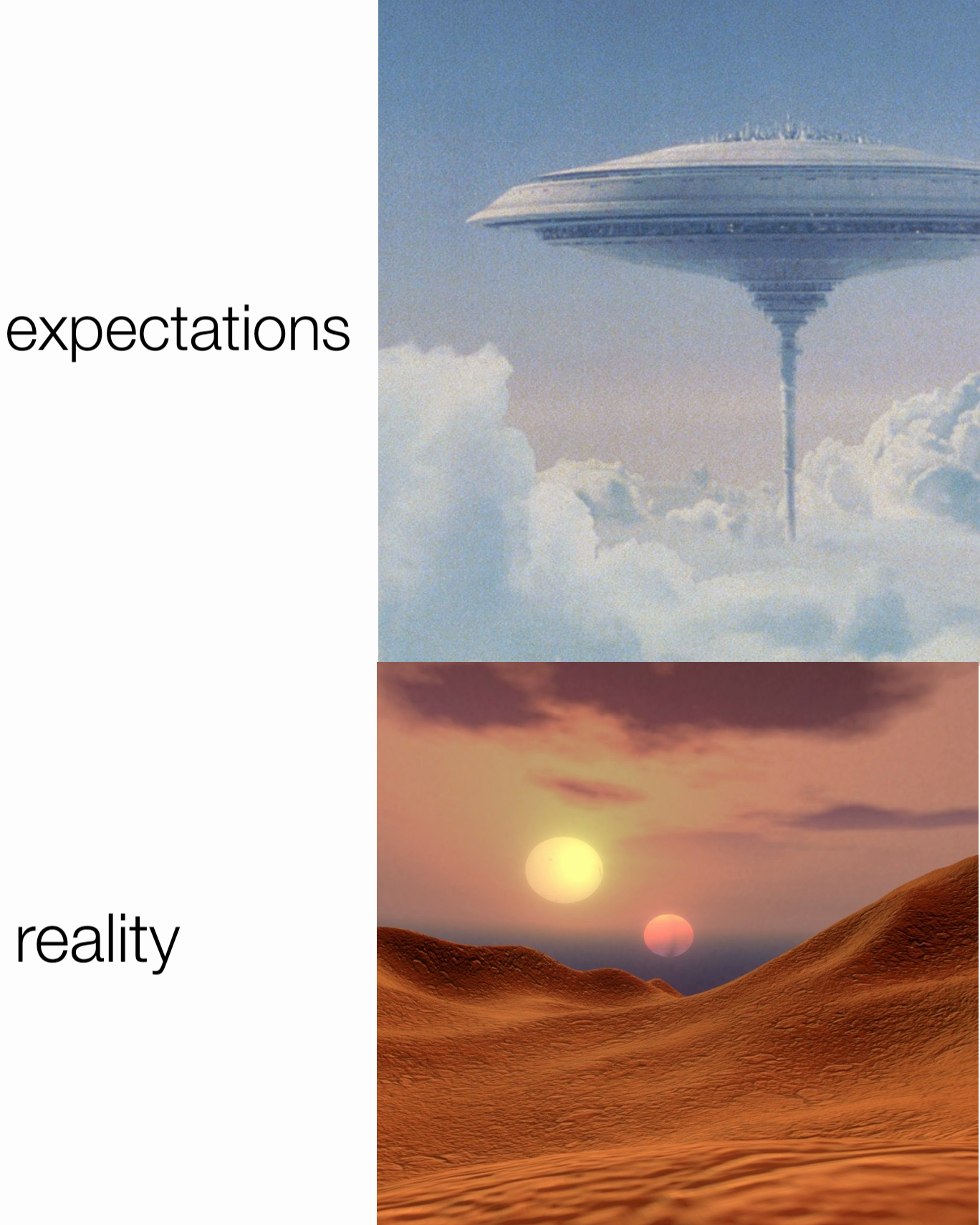 reality expectations