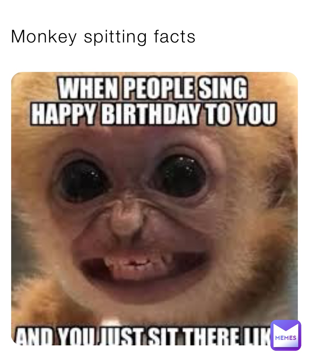 Monkey spitting facts