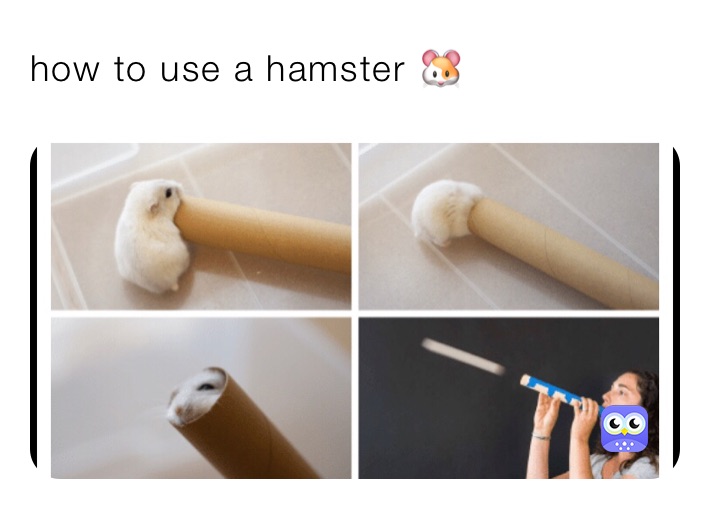 how to use a hamster 🐹 