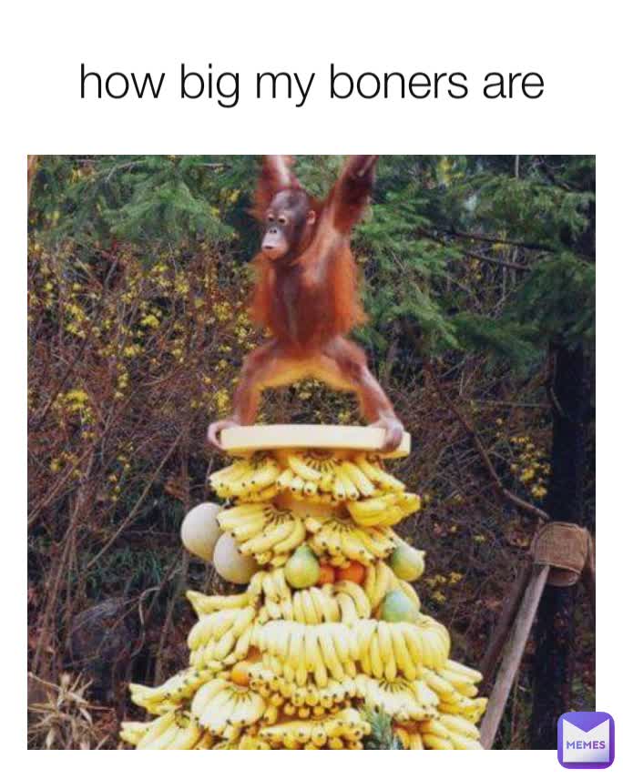 how big my boners are