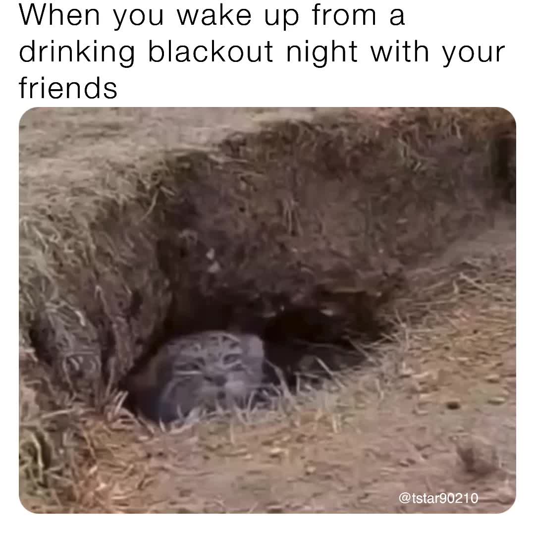#euphoria  #memes  #laugh  #sneakylinks  #relatable  #gas  #johnnydepp  #explorepage  #ex  #marvel  #mcu  #bestie  #bestmemes  #bestfriendo  #friends  #theboys  #thedeep  #homelander  #drink  #drinking  #drunk