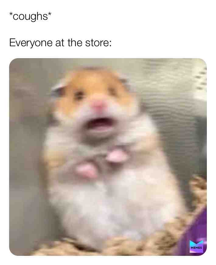 Meme shared by @Kveyto