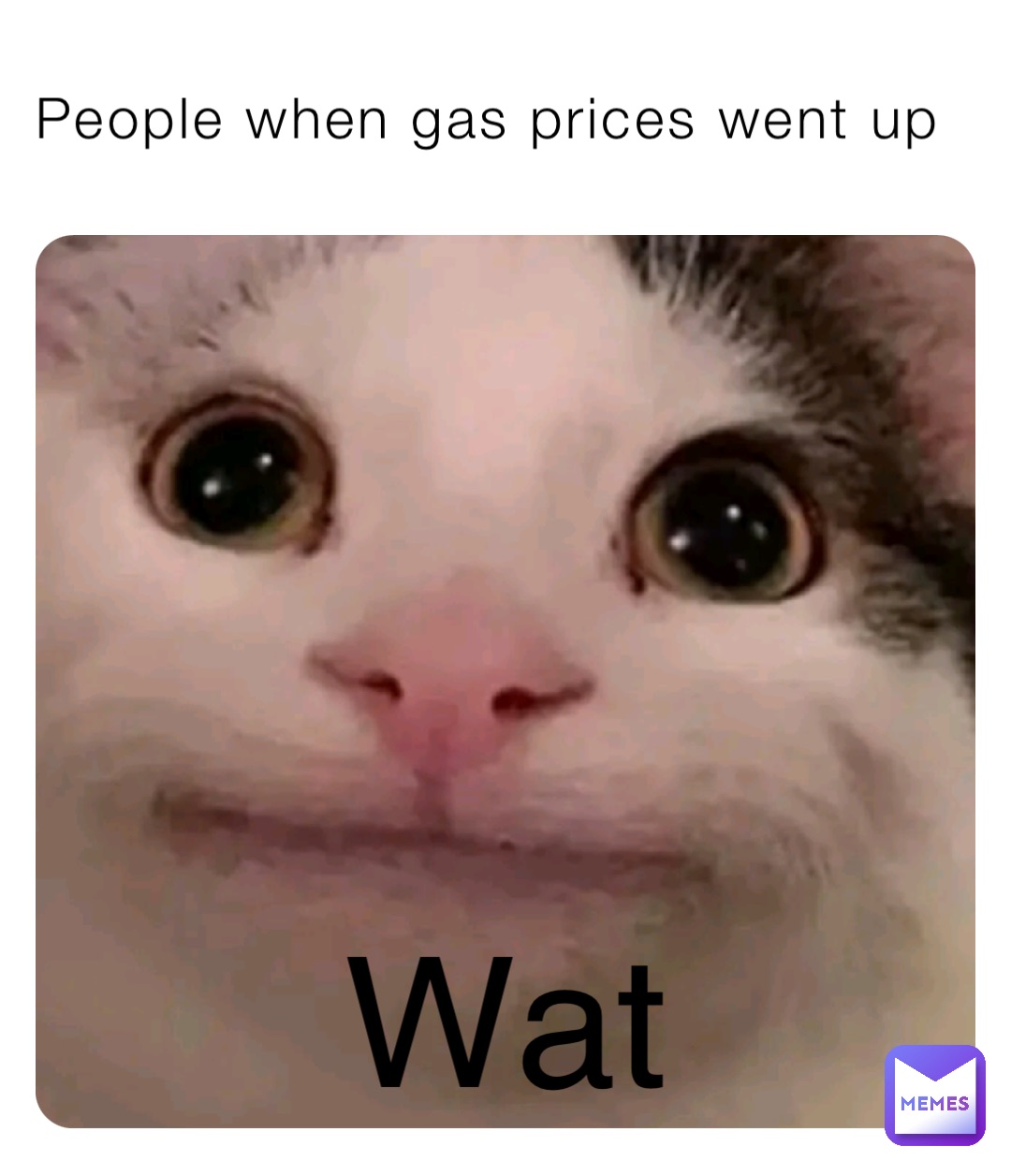 People when gas prices went up Wat