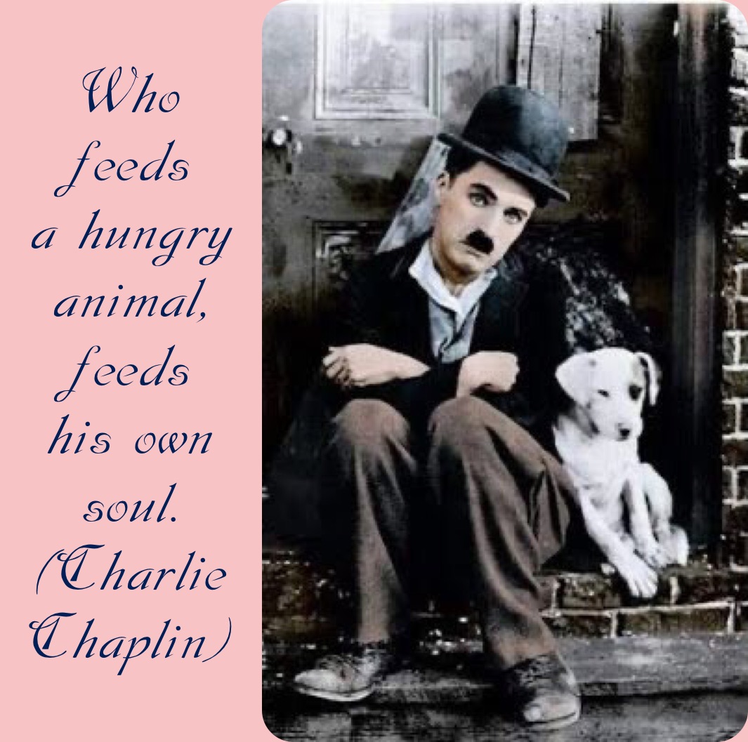 Who 
feeds 
a hungry animal,
feeds 
his own soul.
(Charlie Chaplin)