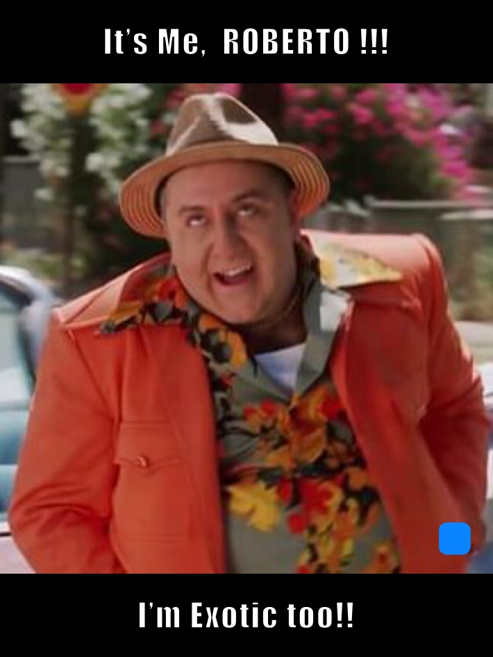 It’s Me,  ROBERTO !!! I’m Exotic too!!
