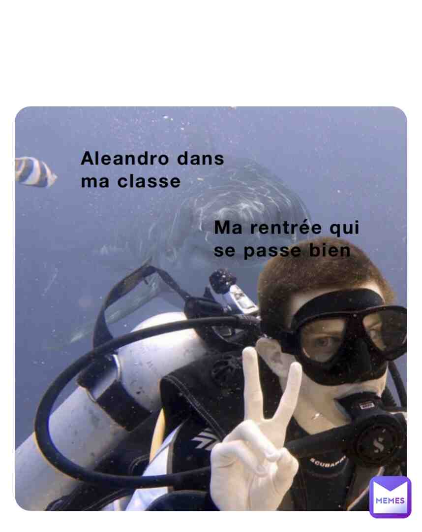 Meme preview