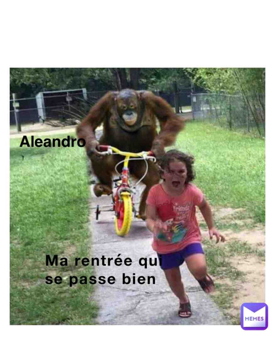Meme preview