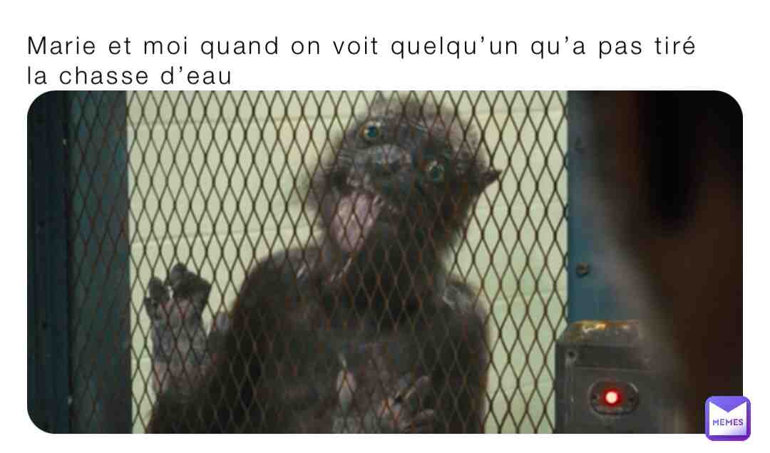 Meme preview