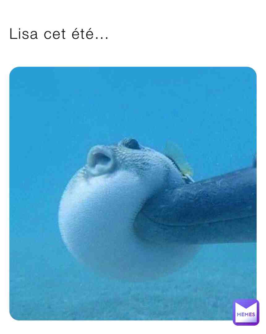 Meme preview