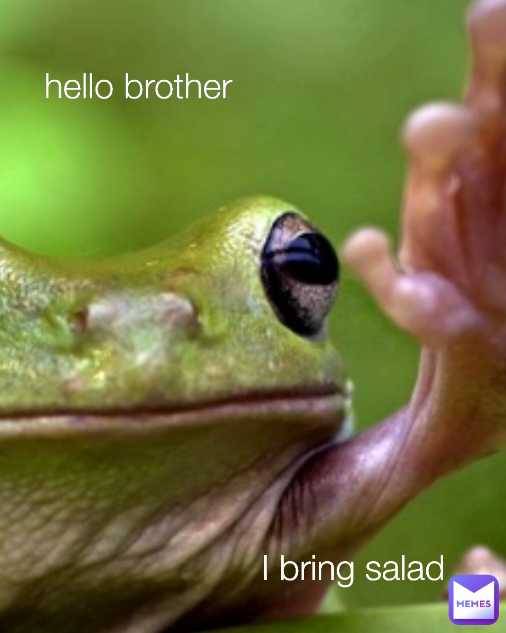 Meme by FloppyVentricle