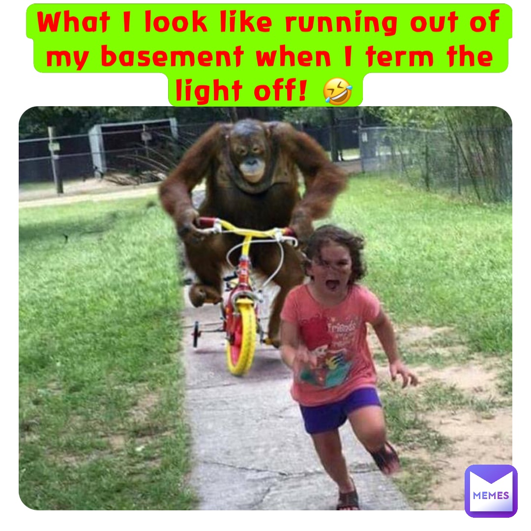 What I look like running out of my basement when I term the light off! 🤣