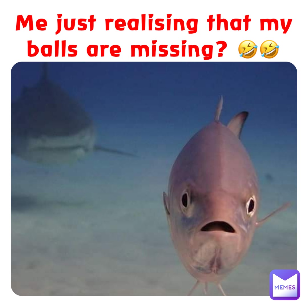 Me just realising that my balls are missing? 🤣🤣