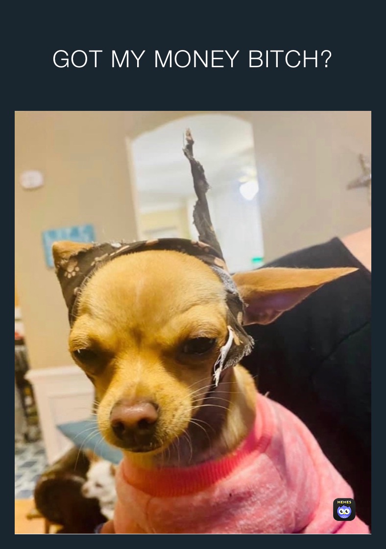GOT MY MONEY BITCH? 