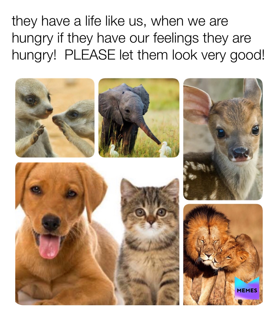 Meme by zeynep_topal