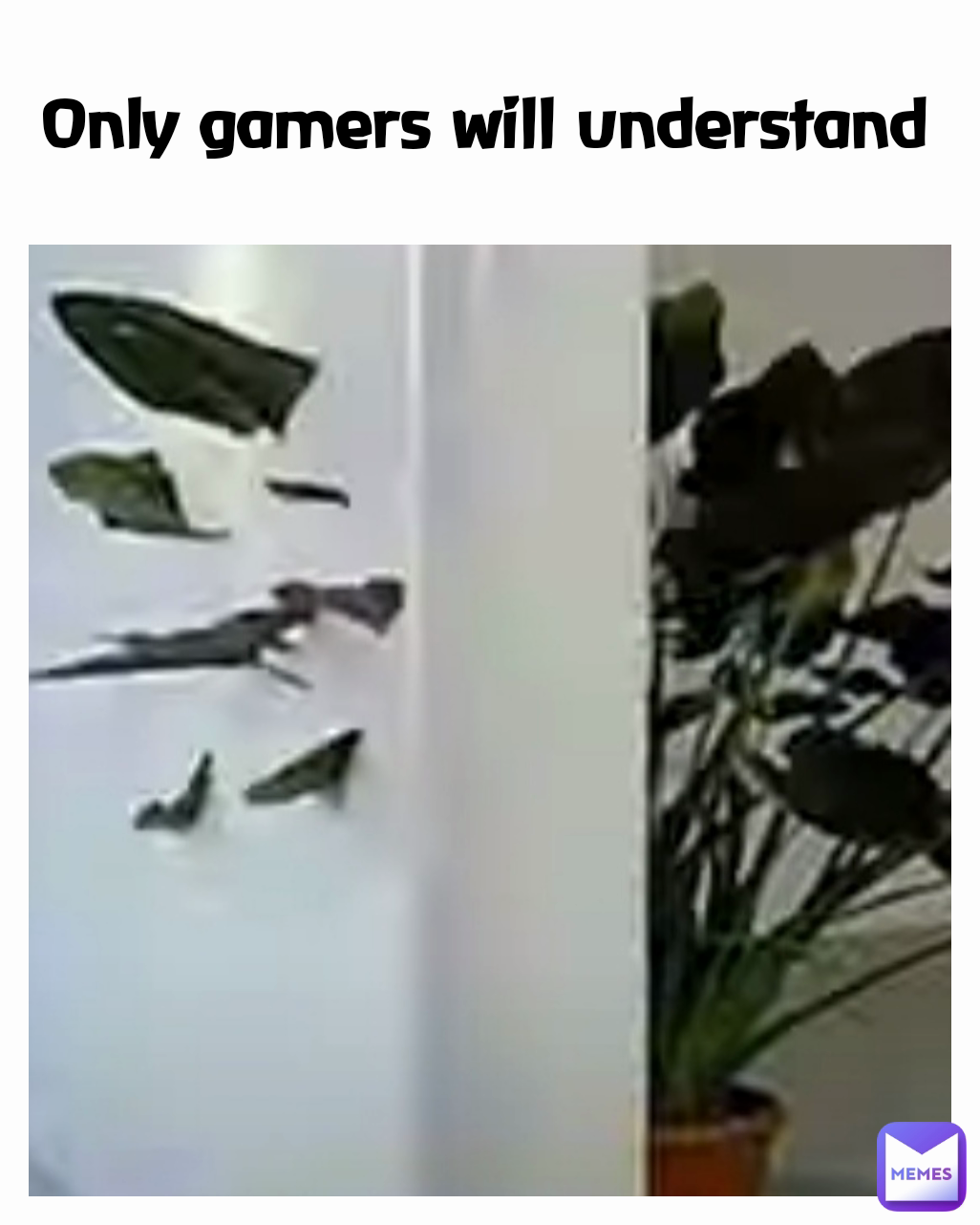 Only gamers will understand 