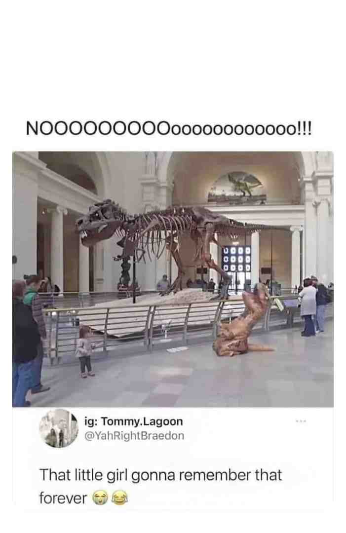 Meme preview