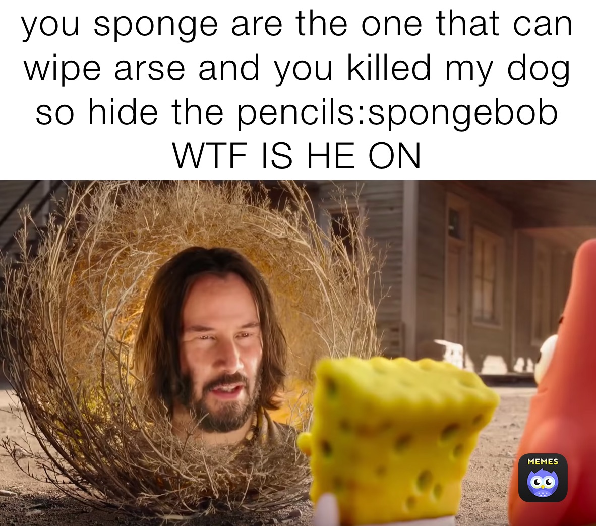 you sponge are the one that can wipe arse and you killed my dog so hide the pencils:spongebob WTF IS HE ON