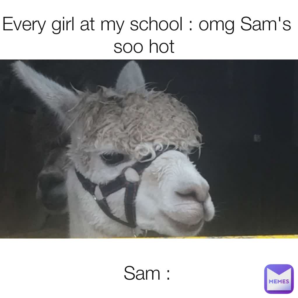 Sam : Every girl at my school : omg Sam's soo hot 