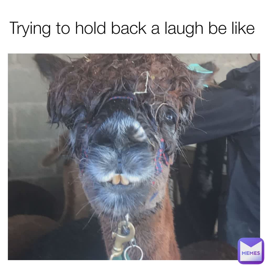 Trying to hold back a laugh be like 